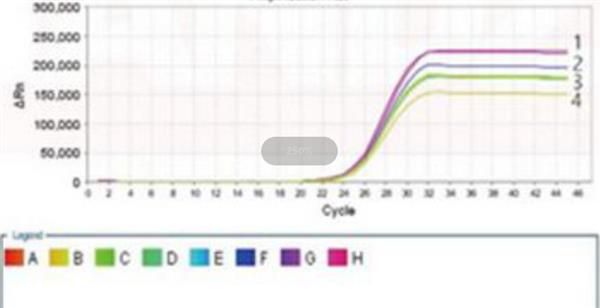 ˹ؾprfAӫPCR(̽뷨)ԼͼƬ