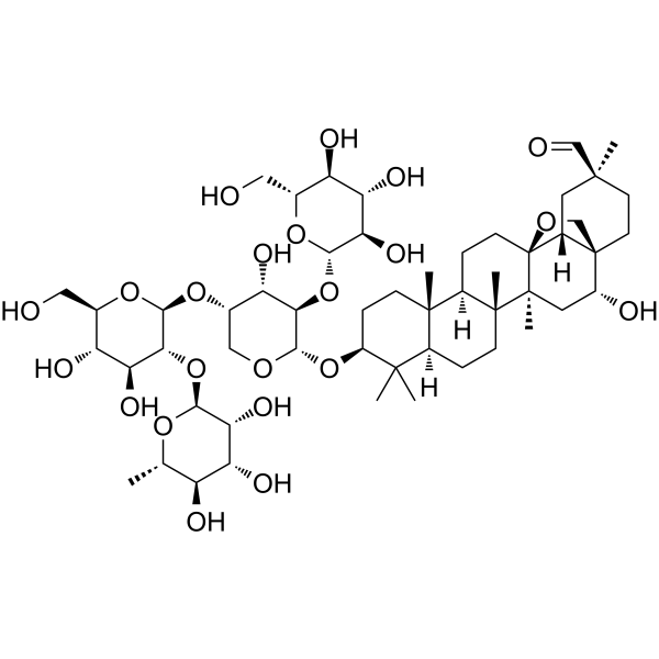 Ardisiacrispin BͼƬ