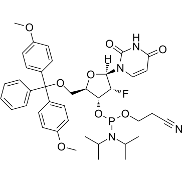 DMT-2&primeFluoro-dU PhosphoramiditeͼƬ