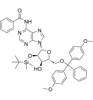 5'-O-DMT-2'-O-TBDMS-N-Bz-AdenosineͼƬ