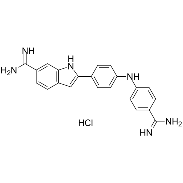 Synucleozid hydrochlorideͼƬ