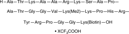 Histone H3K36Me2(21-44)-GK-biotin(trifluoroacetate salt)ͼƬ