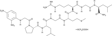 Dnp-GPLGMRGL-NH2(trifluoroacetate salt)ͼƬ