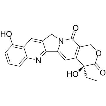 9-HydroxycamptothecinͼƬ