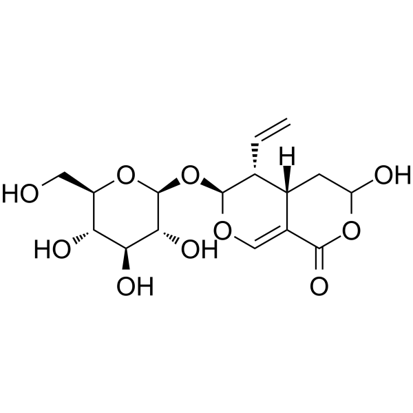 Secologanic acidͼƬ