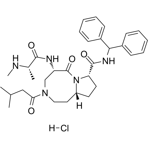 Xevinapant hydrochlorideͼƬ