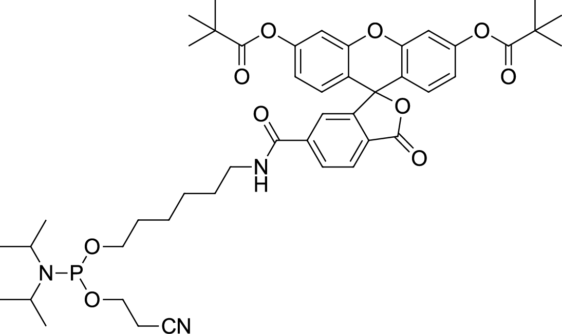 FAM Phosphoramidite,6-IsomerͼƬ