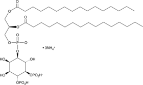 PtdIns-(4,5)-P2(1,2-dipalmitoyl)(ammonium salt)ͼƬ