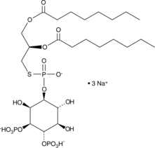 Ptd(S)Ins-(3,4)-P2(1,2-dioctanoyl)(sodium salt)ͼƬ