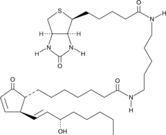 Prostaglandin A1-biotinͼƬ