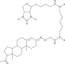 Progesterone 3-biotinͼƬ