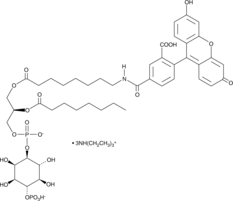 PtdIns(4)-P1-fluorescein(ammonium salt)ͼƬ