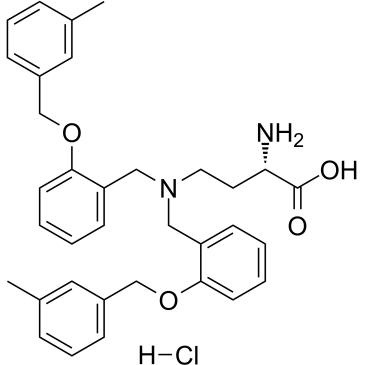 V-9302 hydrochlorideͼƬ