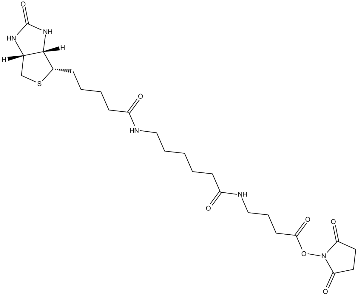 NHS-12-BiotinͼƬ