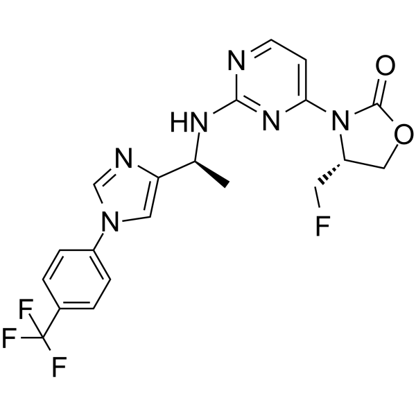 IDH1 Inhibitor 1ͼƬ