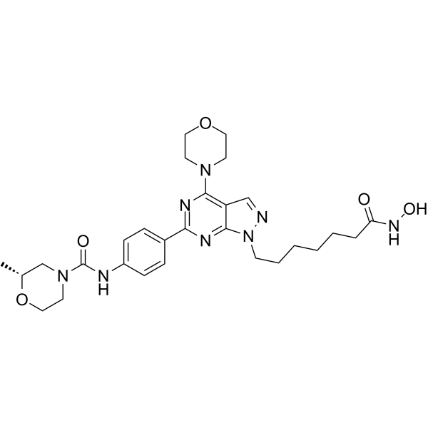 HDACs/mTOR Inhibitor 1ͼƬ