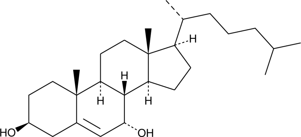 7-hydroxy CholesterolͼƬ