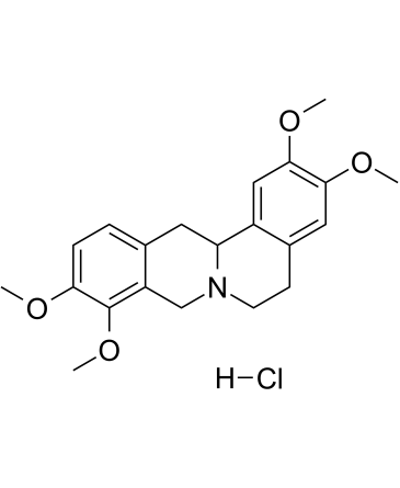 Tetrahydropalmatine hydrochlorideͼƬ