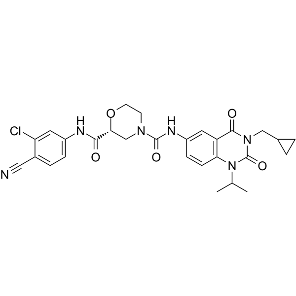 ROR&gammat Inverse agonist 6ͼƬ