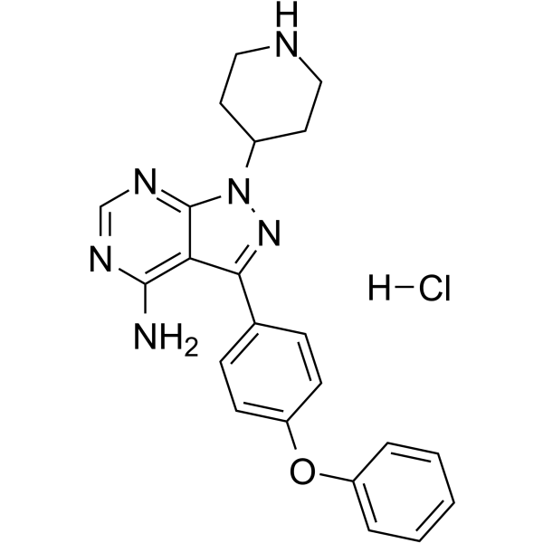 N-piperidine Ibrutinib hydrochlorideͼƬ