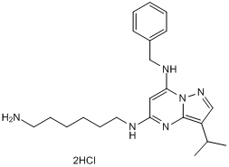 BS 181 dihydrochlorideͼƬ