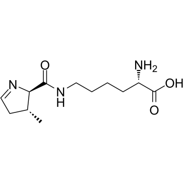 L-PyrrolysineͼƬ