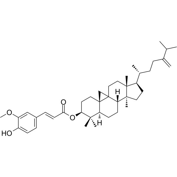 24-Methylenecycloartanyl ferulateͼƬ