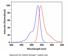 Calcein Orange?(sodium salt)ͼƬ