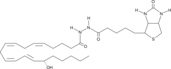 15(S)-HETE-biotinͼƬ