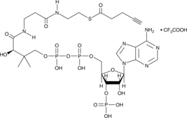 4-pentynoyl-Coenzyme A(trifluoroacetate salt)ͼƬ