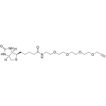 Biotin-PEG4-alkyne图片