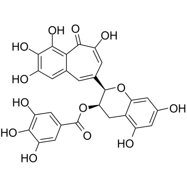 Epitheaflagallin 3-O-gallateͼƬ