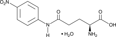 L-Glutamic Acid &gamma-p-Nitroanilide(hydrate)ͼƬ