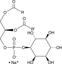 Phosphatidylinositols(plant,wheat germ)(sodium salt)ͼƬ