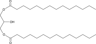 1,3-Dimyristoyl-rac-glycerolͼƬ