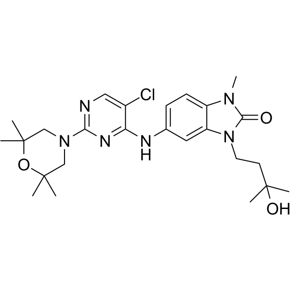 BCL6-IN-4ͼƬ