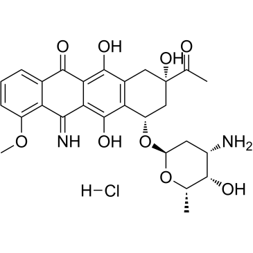 5-Iminodaunorubicin hydrochlorideͼƬ