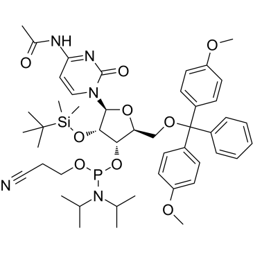 Ac-rC PhosphoramiditeͼƬ