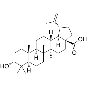 Epibetulinic acidͼƬ