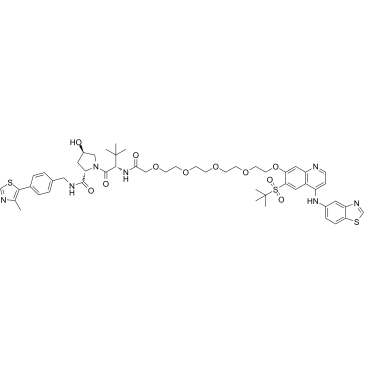 PROTAC RIPK degrader-2ͼƬ