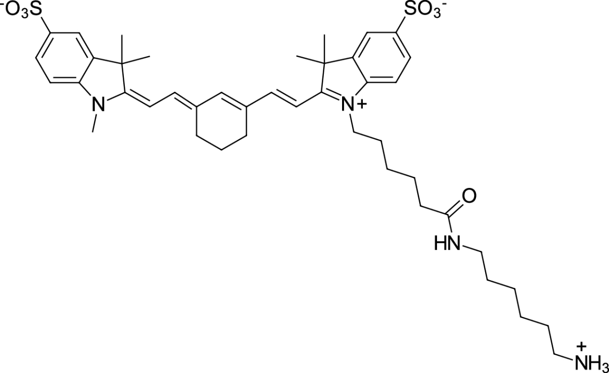 Sulfo-Cyanine7 amineͼƬ