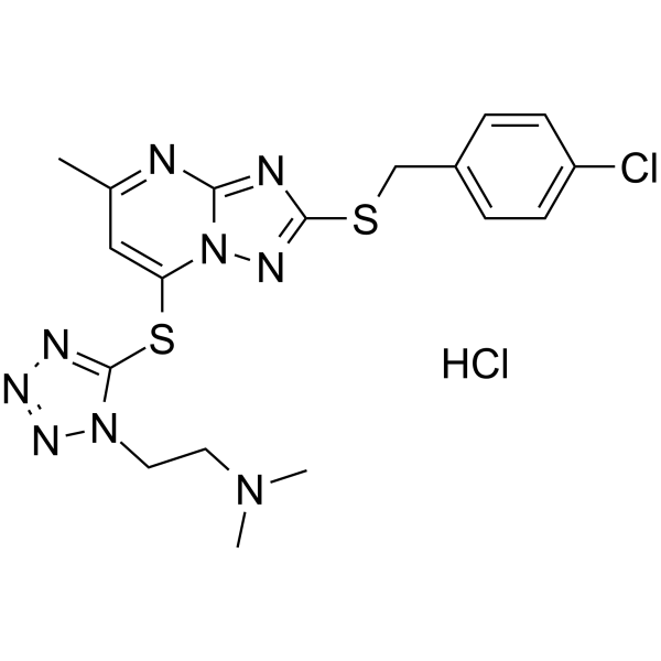 WS-383ͼƬ