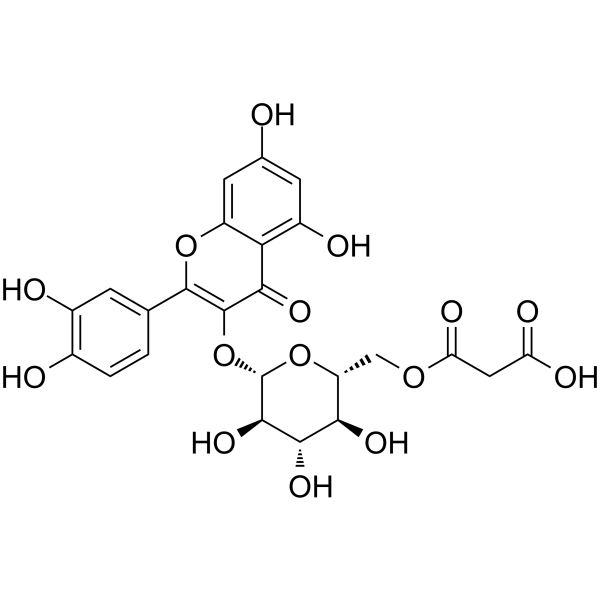 Quercetin 3-O-(6&rsquo&rsquo-O-malonyl)--D-glucosideͼƬ