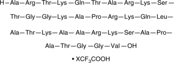 Histone H3(1-35)(human,mouse,rat,bovine)(trifluoroacetate salt)ͼƬ