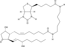 Prostaglandin D2-biotinͼƬ