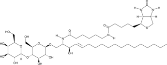 C6 Biotin Lactosylceramide(d18:1/6:0)ͼƬ