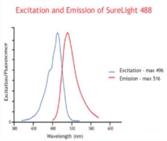 SureLight? 488 NHS esterͼƬ