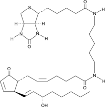 Prostaglandin A2-biotinͼƬ