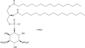 PtdIns-(3,5)-P2(1,2-dipalmitoyl)(sodium salt)ͼƬ