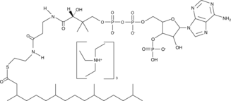 phytanoyl-Coenzyme A(triethylammonium salt)ͼƬ